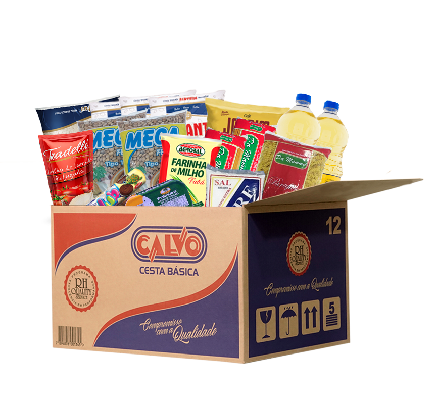 cesta básica begônia - calvo